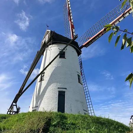 My 5* Bruges